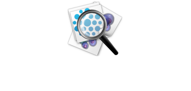 ZK, Cellvizio.net grand image module.png ZK, Cellvizio.net grand image module.png