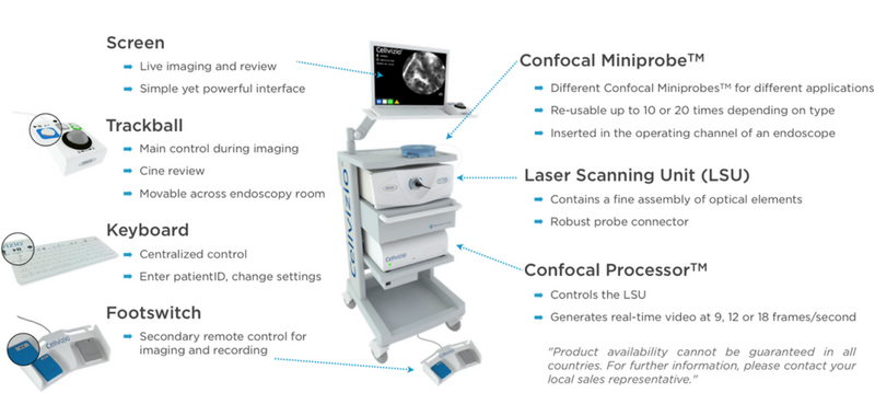 Overview of the Cellvizio system.png