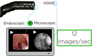 ZK, CVZnet - Double Media Module- images and Video thumbnail size.png